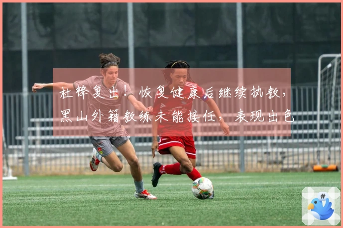 杜锋复出！恢复健康后继续执教，黑山外籍教练未能接任，表现出色。